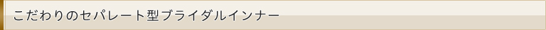 こだわりのセパレート型ブライダルインナー